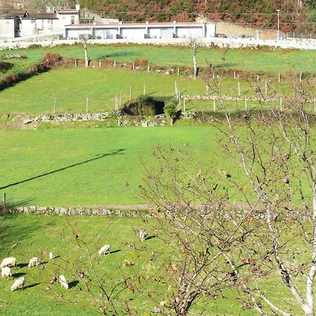 Campo Seco Villa Виейра до Миньо Екстериор снимка