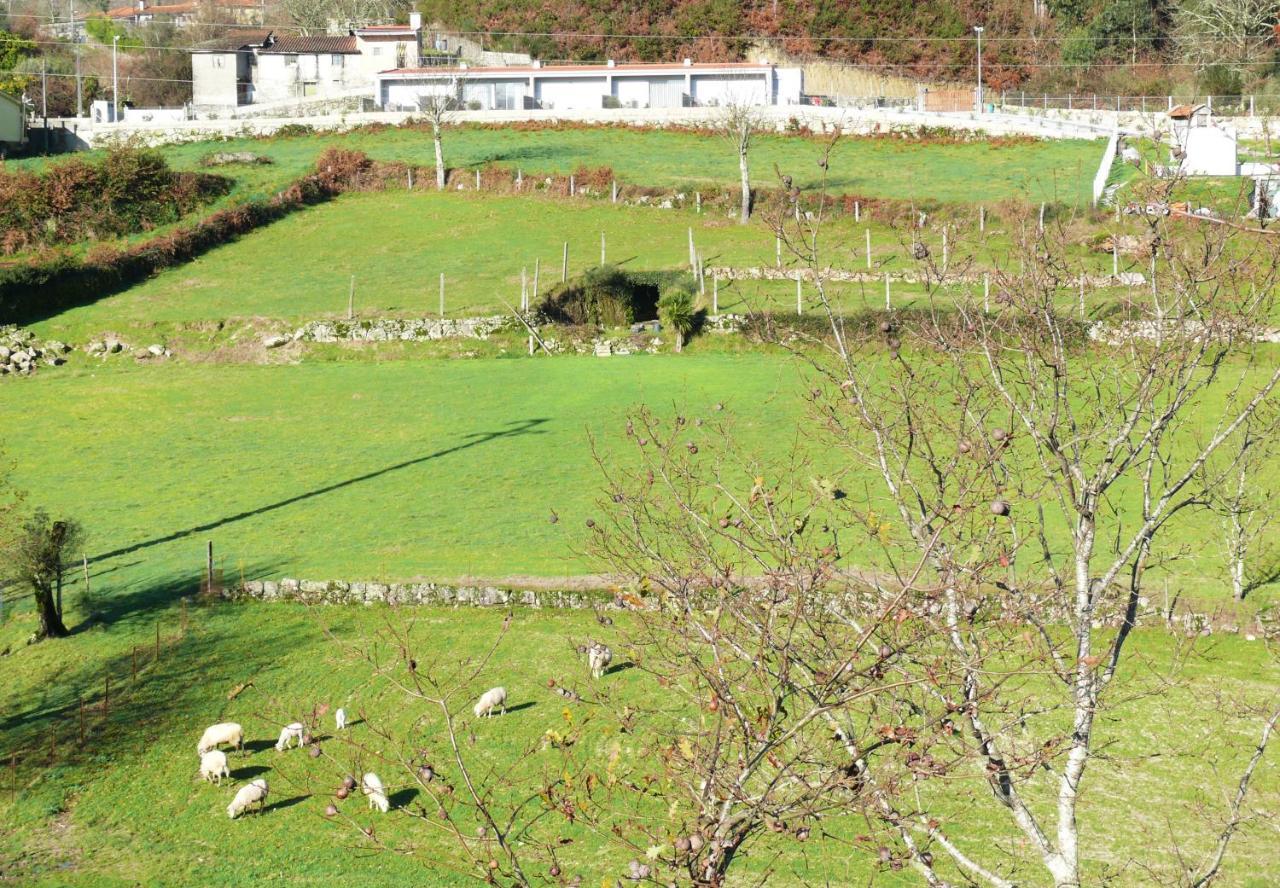 Campo Seco Villa Виейра до Миньо Екстериор снимка